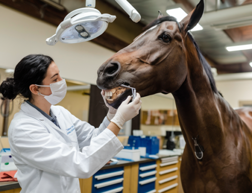 Zonder klanten geen ondernemer
